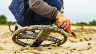 Esta comunidad de aficionados se dedica a encontrar anillos perdidos en la playa, y ya ha encontrado 7.565